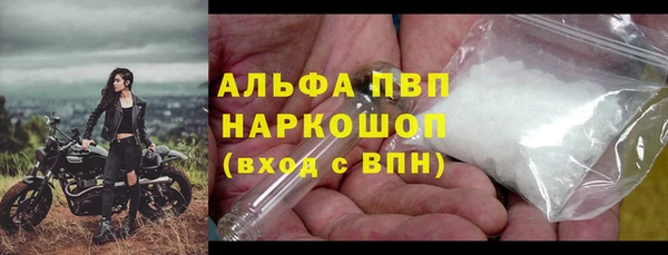 стаф Богородицк