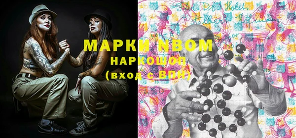 трава Белокуриха