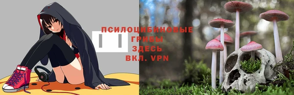 альфа пвп Богородск