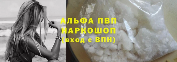 трава Белокуриха