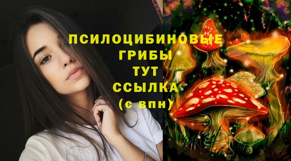 синтетический гашиш Белоозёрский