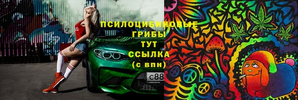 а пвп мука Богданович