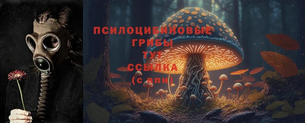 альфа пвп Богородск
