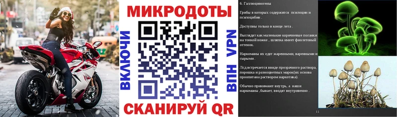 Псилоцибиновые грибы Psilocybe  как найти закладки  Дюртюли 